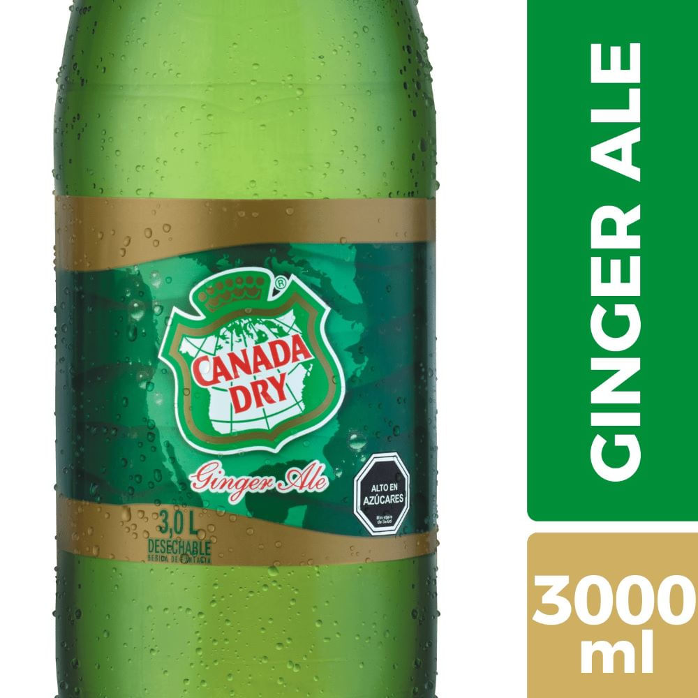 Bebida desechable Canada dry 3 L